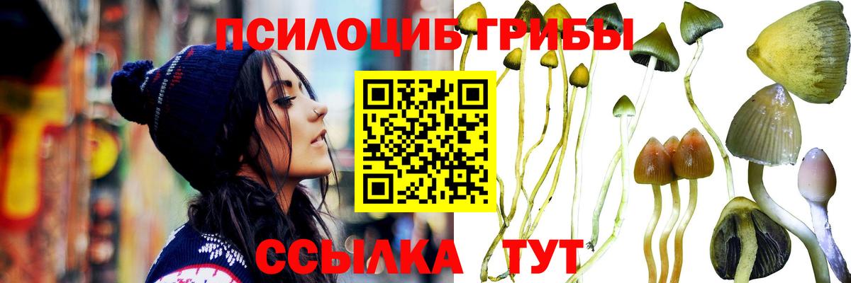 Галлюциногенные грибы мицелий  Вход с VPN  Когалым 